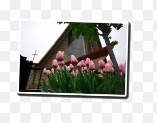 Happenings - Photographic Paper Emoji,What Emoticon Is Pingree