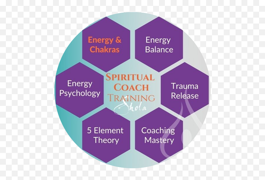 Wellness Coach Training Wellness Coaching Training London Emoji,Spirtualist Emotion Types