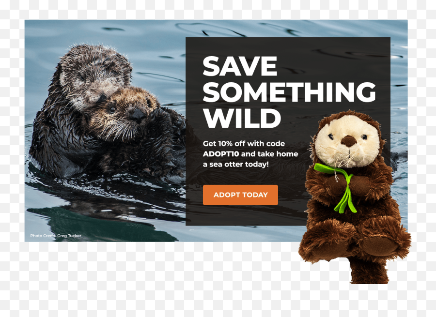 Sea Otter - Whale Adopt Emoji,Emotion Otter Impact