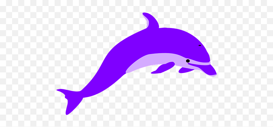Free Dolphin Mammal Vectors - Dolphin Clip Art Emoji,Dolphin Emotions