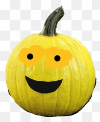 Pumpky Pumpkin Sticker - Pumpky Pumpkin Discover U0026 Share Gifs Emoji,Twitter Pumpkin Emoticon
