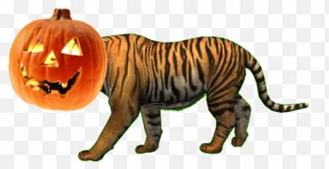 Top Black Tiger Sex Machine Stickers For Android U0026 Ios Gfycat Emoji,Toger Emoji