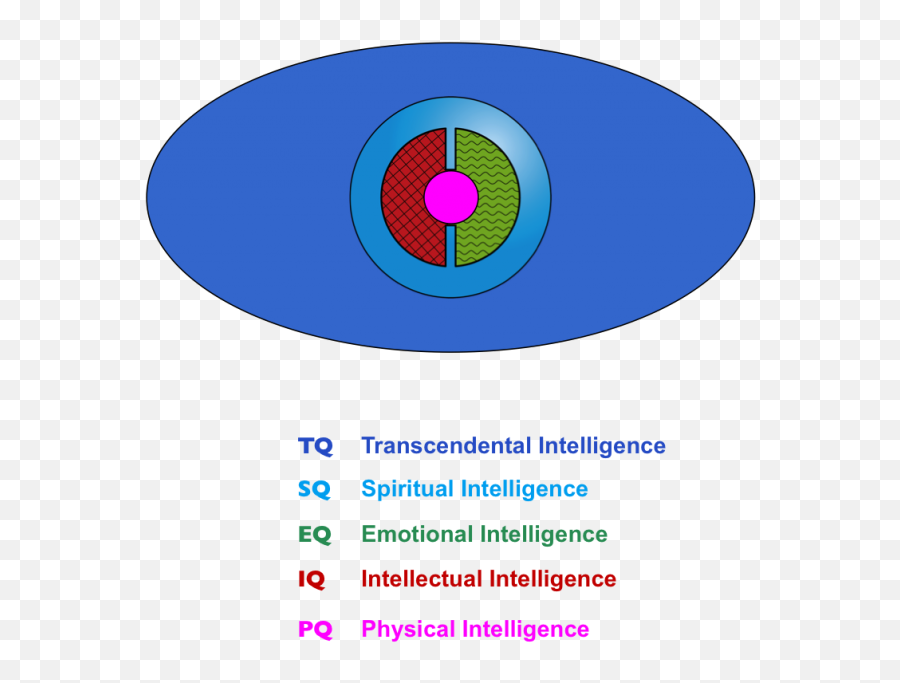 Spiritual Intelligence - Vertical Emoji,Dimensions Of Emotion