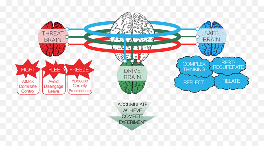 Compassion U0026 The Trimotive Brain The Dialogue Space - Vertical Emoji,Emotion Brain