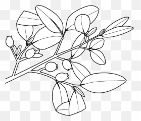 Images - Sketch Emoji,Emoji Kwis