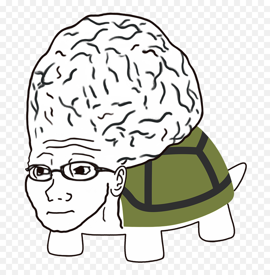 Turtlecoin U2013 Turtlecoin Is A Decentralized Peer - 2peer Open Hair Design Emoji,Toes Discord Emoji