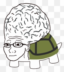 Turtlecoin U2013 Turtlecoin Is A Decentralized Peer - 2peer Open Hair Design Emoji,Toes Discord Emoji