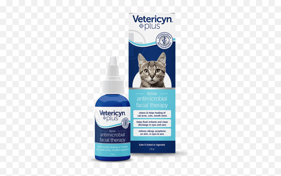 Cat Acne Symptoms And Causes Plus - Vetericyn Antimicrobial Facial Therapy Emoji,Cat Ears That Tell Your Emotions