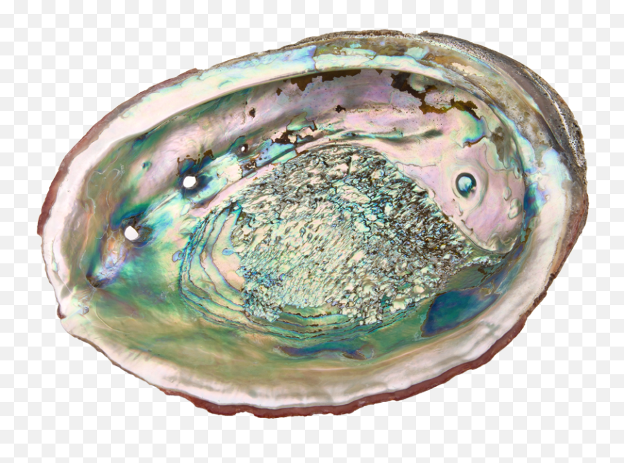 Stone Guide - Inside Abalone Shell Emoji,Herkimer Diamond Emotion Balancer