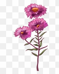 45 Types Of Pink Flowers Custom Graphics - The Home Simple Emoji,Names Of All The Flower Emojis