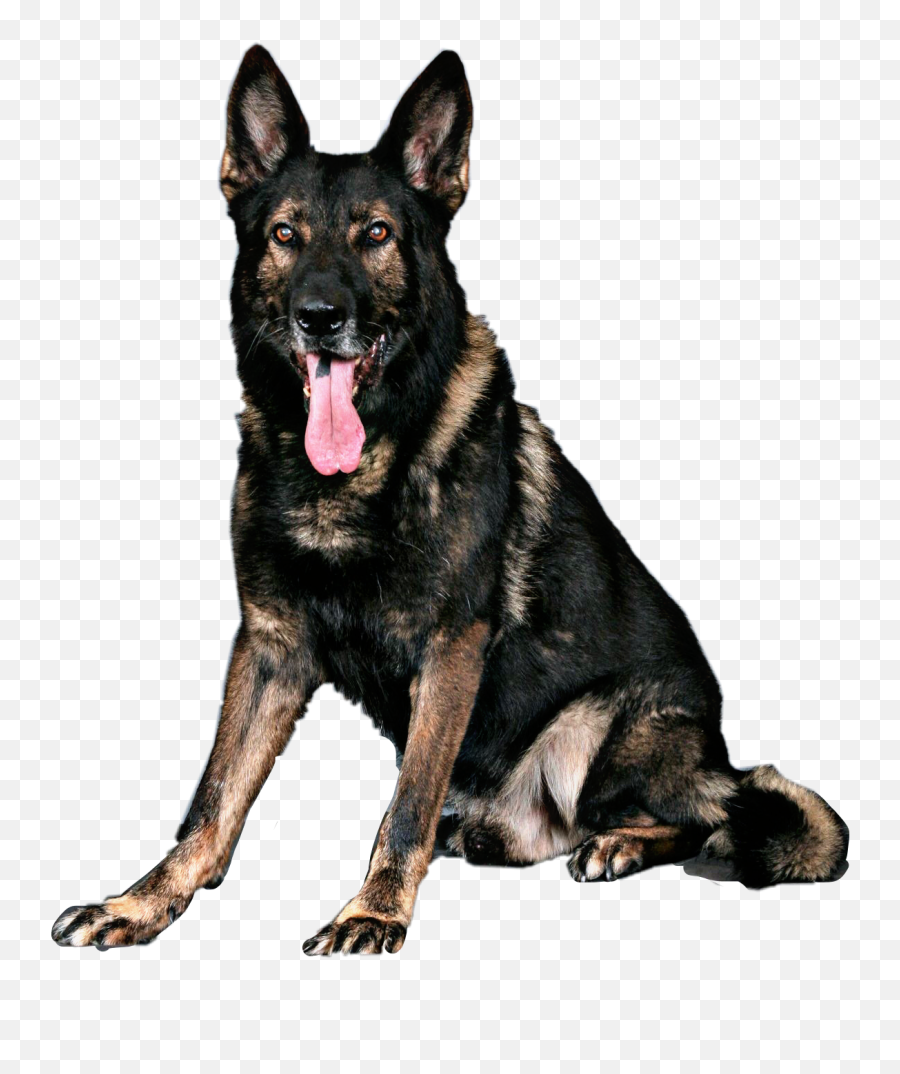 The Most Edited German Shepherd Picsart - K9 Lor Emoji,German Shepherd Dog Barking Emoticon
