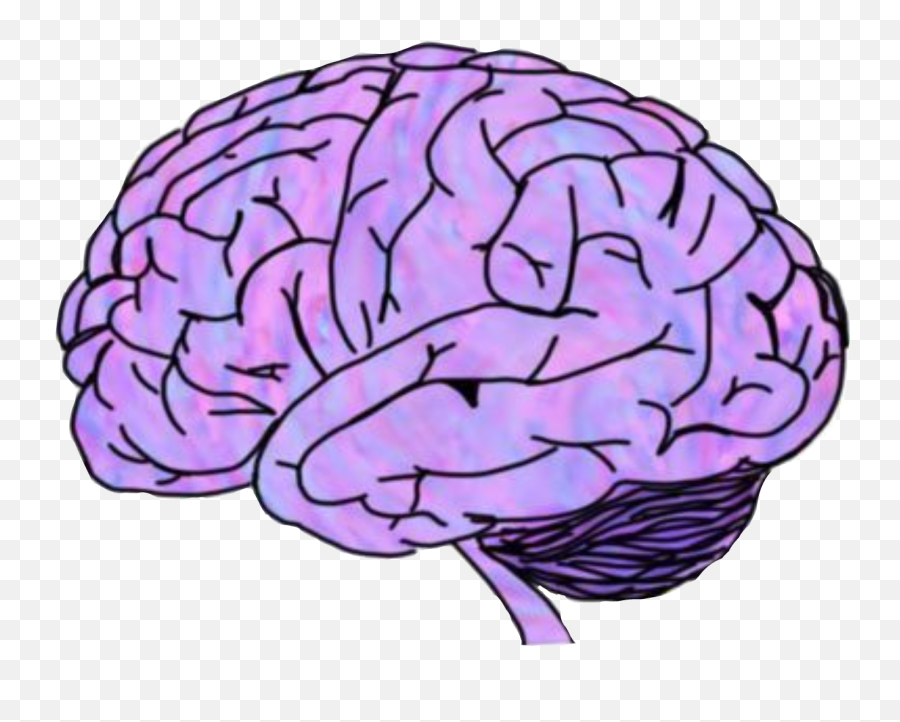 Brain Scary Crippy Mozak Purple Pink Organ Head - Brain Png Emoji,Brain Emoji