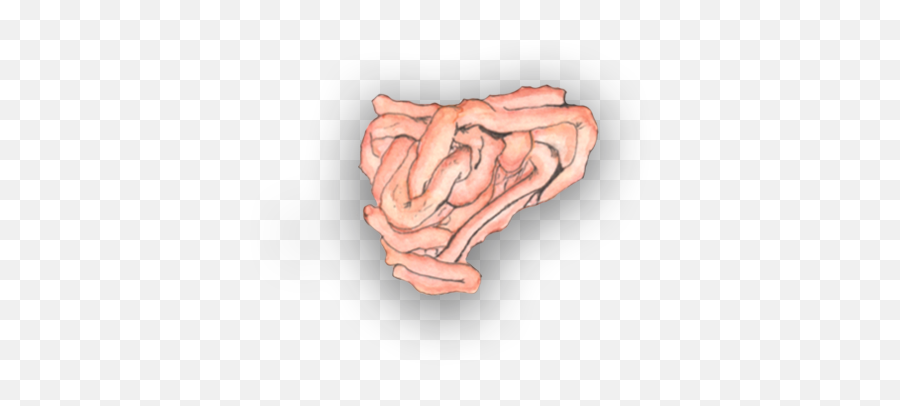 Visceral Manipulation Emoji,Emotions Of The Large Intestine