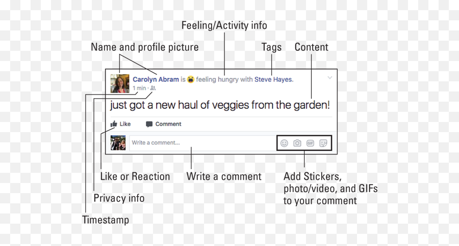 Chapter 4 The Daily Facebook News Feed And Posting Emoji,Bolded Emojis