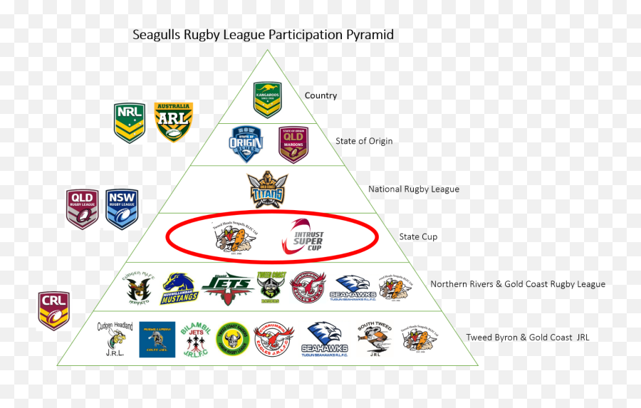 Strategic Plan - Tweed Seagulls Rlfc Emoji,Six Emotions Pyramid