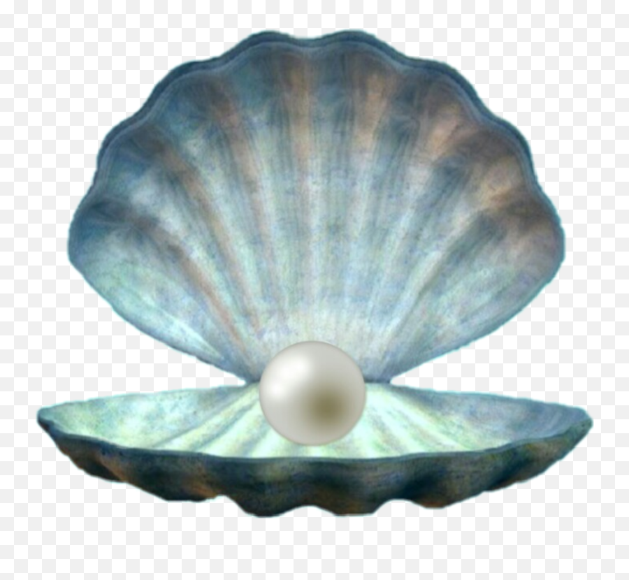 Sea Shell Pearl Mermaid Blue Green Emoji,Shell Emoji