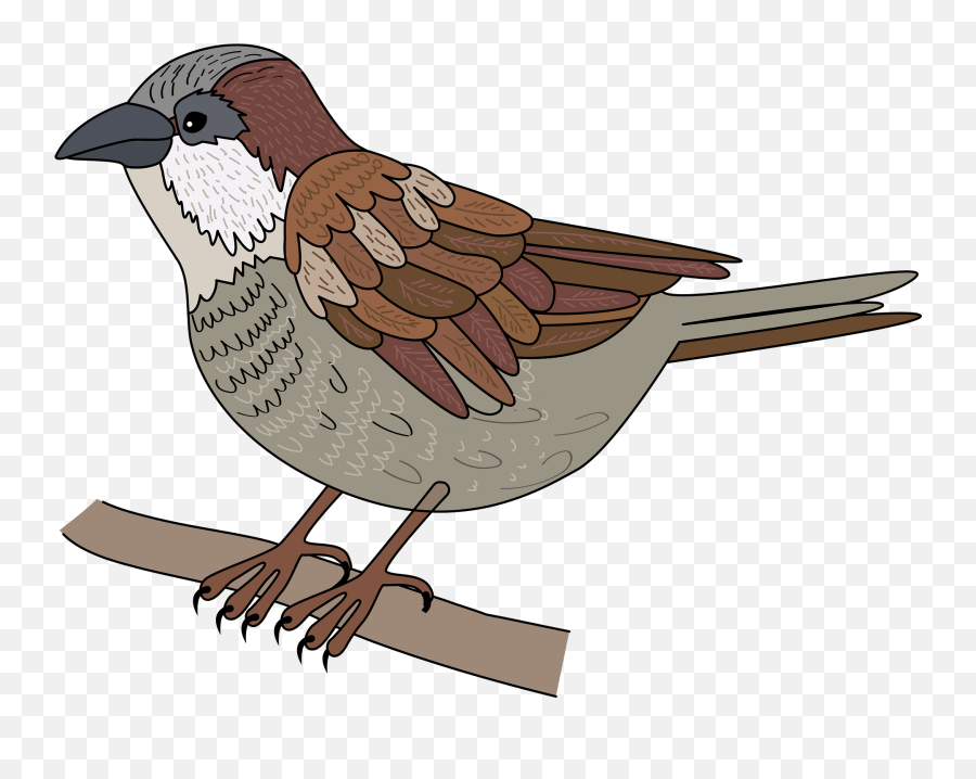 Sparrow Clipart - House Sparrow Emoji,Sparrow Emoji