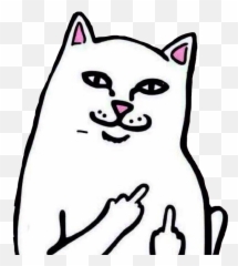 Middle Finger Cat Png Transparent Png - Png Middle Finger Cat Emoji,Emoji Giving The Finger