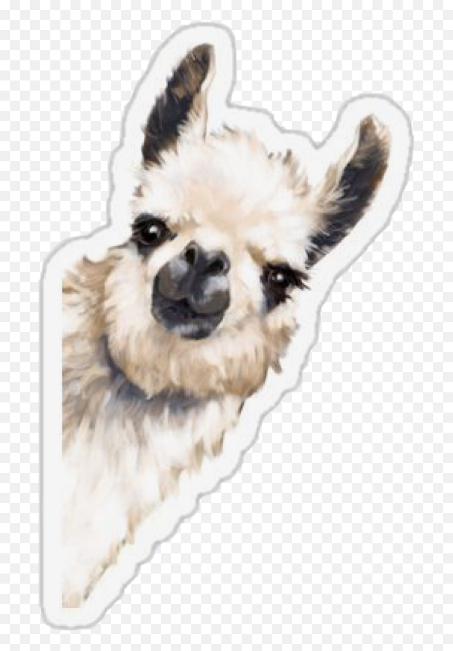 Llama Aesthetic Cute Sticker - Llama Art Emoji,Copy And Paste Emojis Alpaca