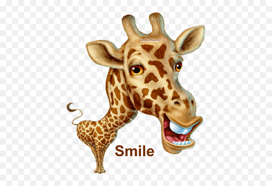 59 Smileu0027s Ideas Smiley Emoji Smiley Emoticons Emojis - Giraffes Can T Dance Fanart,Picture Of Giraffe Emoji