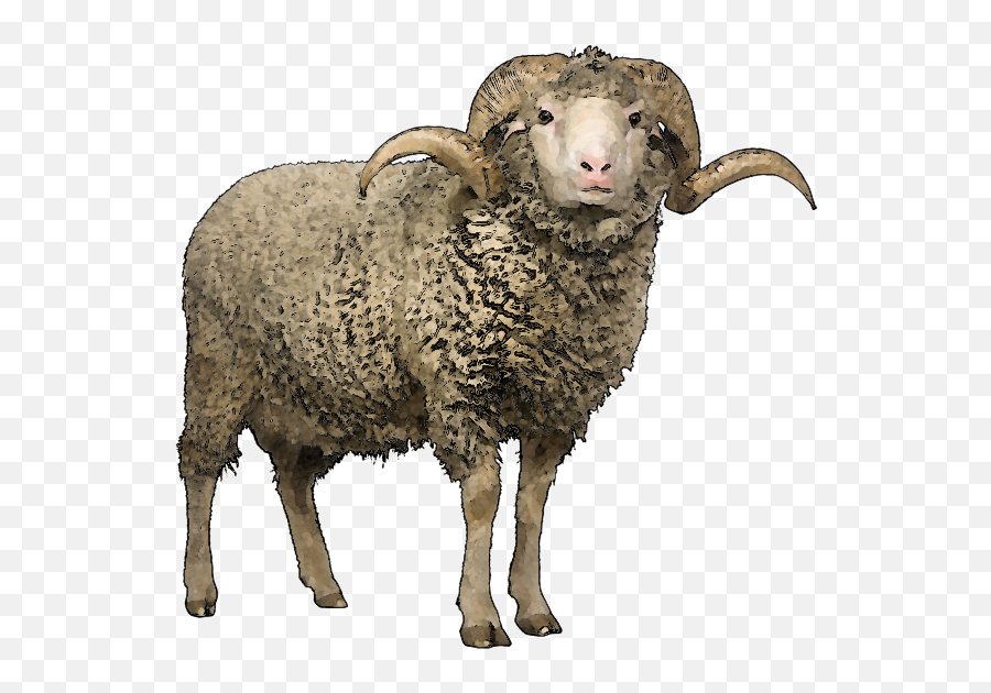 Sheep Png Image Free Download - Sheep Png Emoji,Shaun The Sheep Emoticons