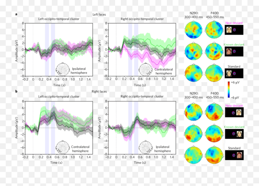 Grand Averages According To The Face Emoji,Emotions Of Competition Infants