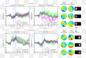 Grand Averages According To The Face Emoji,Emotions Of Competition Infants