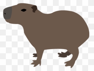 Coatimoji By Gabriel Verret Emoji,Capybara Emoticon