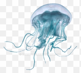 Download Sea Jellyfish On A Transparent Background Emoji,Downloadable Emoticons Jellyfish