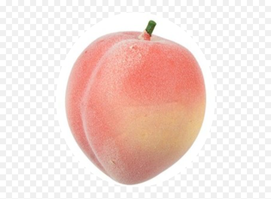Peach Fruit Foam Rubber Pink - Pink Aesthetic Png Download Peach Colored Peach Fruit Emoji,Peach Emoji Tumblr