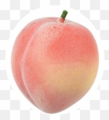 Peach Fruit Foam Rubber Pink - Pink Aesthetic Png Download Peach Colored Peach Fruit Emoji,Peach Emoji Tumblr
