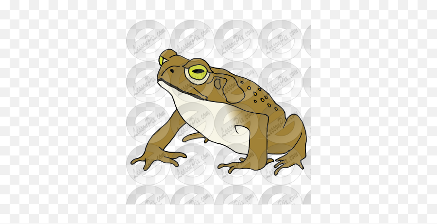 Toad Picture For Classroom Therapy - American Toad Emoji,Spadefoot Toad Emotion