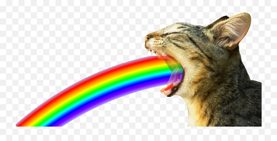 Mood With A Gif - Cats Barfing Rainbows Gif Emoji,