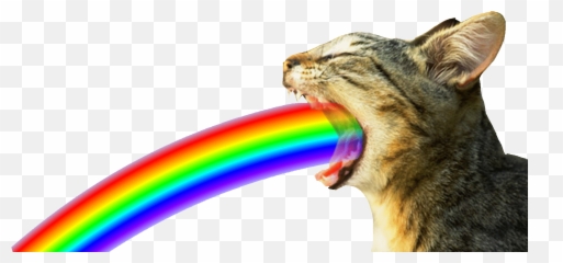 Mood With A Gif - Cats Barfing Rainbows Gif Emoji,