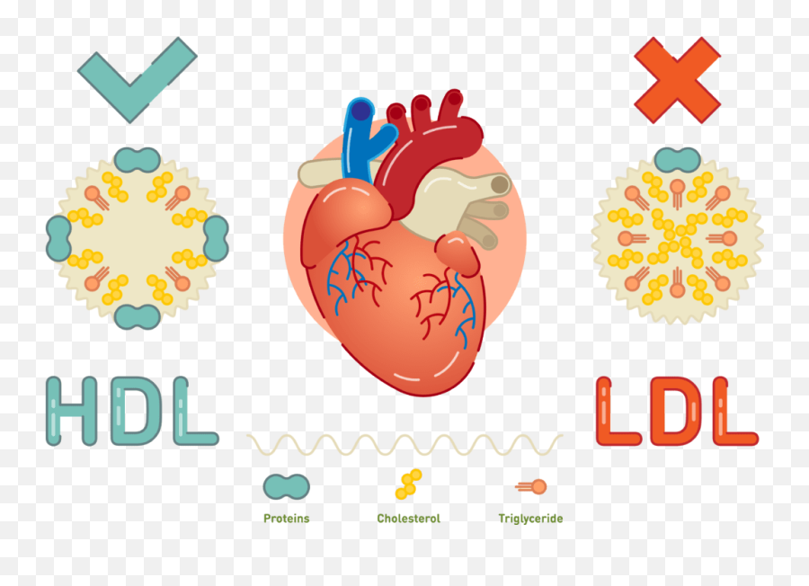 Heart Disease Risk Factors You Can Change - Her Heart Emoji,Blood Sugar Emotions