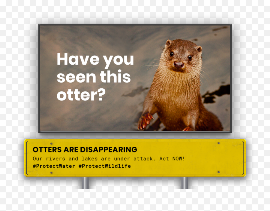 Environment Archives - North American River Otter Emoji,Sea Otter Emoji