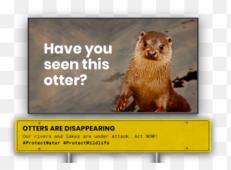 Environment Archives - North American River Otter Emoji,Sea Otter Emoji