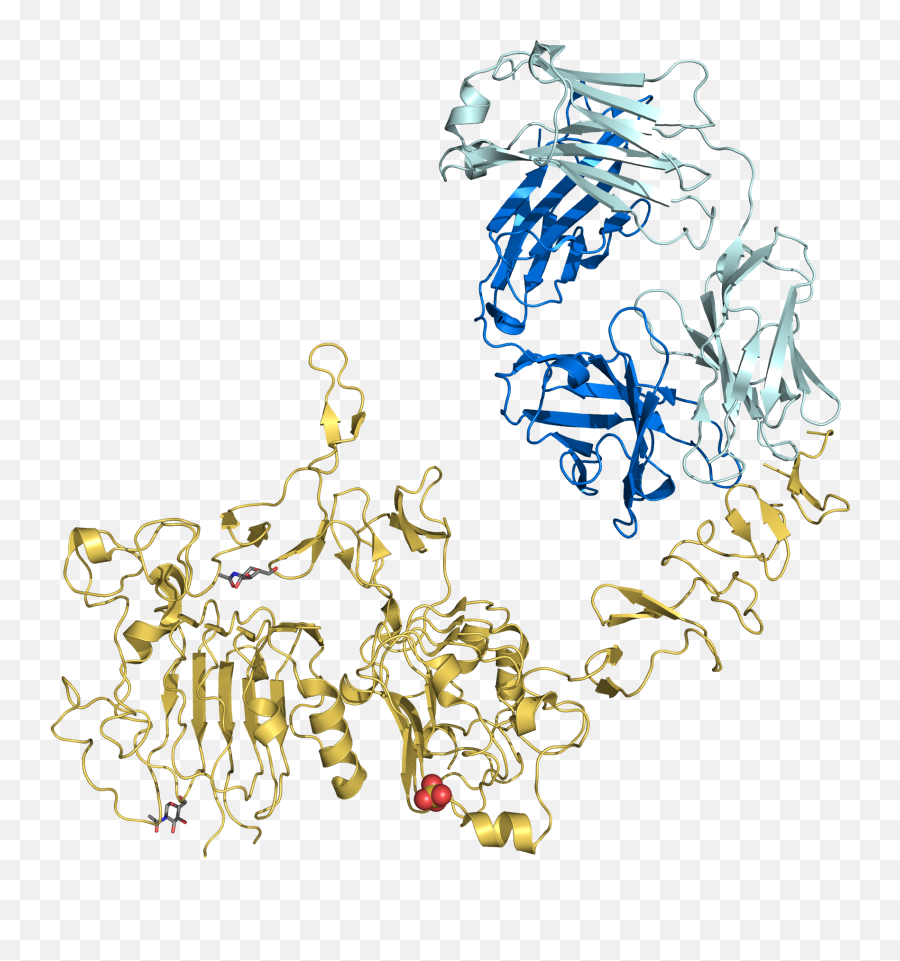 Trastuzumab - Wikipedia Trastuzumab Ribbon Diagram Emoji,Dfo Emoticon Unlock