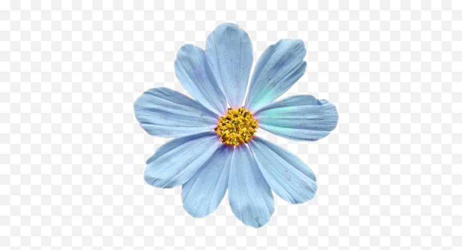 Florzinha Azul Sticker By Crybabycryszx - Blue Flower Art Aesthetic Emoji,Emoji Florzinha