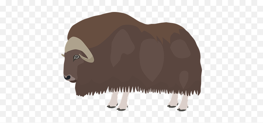 Over 100 Free Buffalo Vectors - American Bison Emoji,Bison Emoji