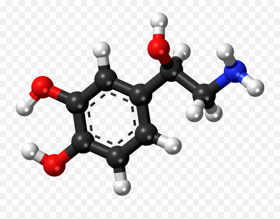 Life Explorers - Succinic Acid 3d Structure Emoji,Chemistry Of Emotions