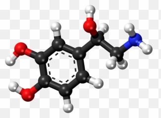 Life Explorers - Succinic Acid 3d Structure Emoji,Chemistry Of Emotions