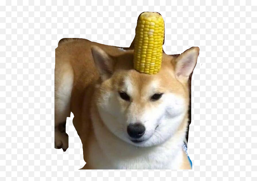 Doge Corn Dog - Doggo Transparent Emoji,Corn Dog Emoji