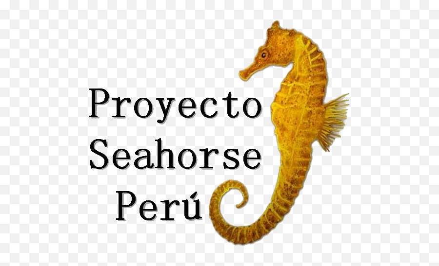 Proyecto Seahorse Peru - Seahorse Peru Emoji,Facebook Emoticons Seahorse
