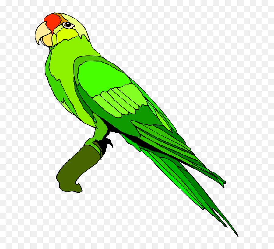Outline Clipart Parrot Outline Parrot Transparent Free For - Parrot Clipart Png Emoji,Parrot Emoji