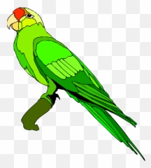 Outline Clipart Parrot Outline Parrot Transparent Free For - Parrot Clipart Png Emoji,Parrot Emoji