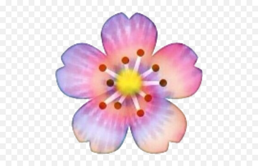 Flower Tiedye Rainbow Sticker - Primrose Emoji,Hot Spring Emoji