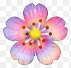Flower Tiedye Rainbow Sticker - Primrose Emoji,Hot Spring Emoji