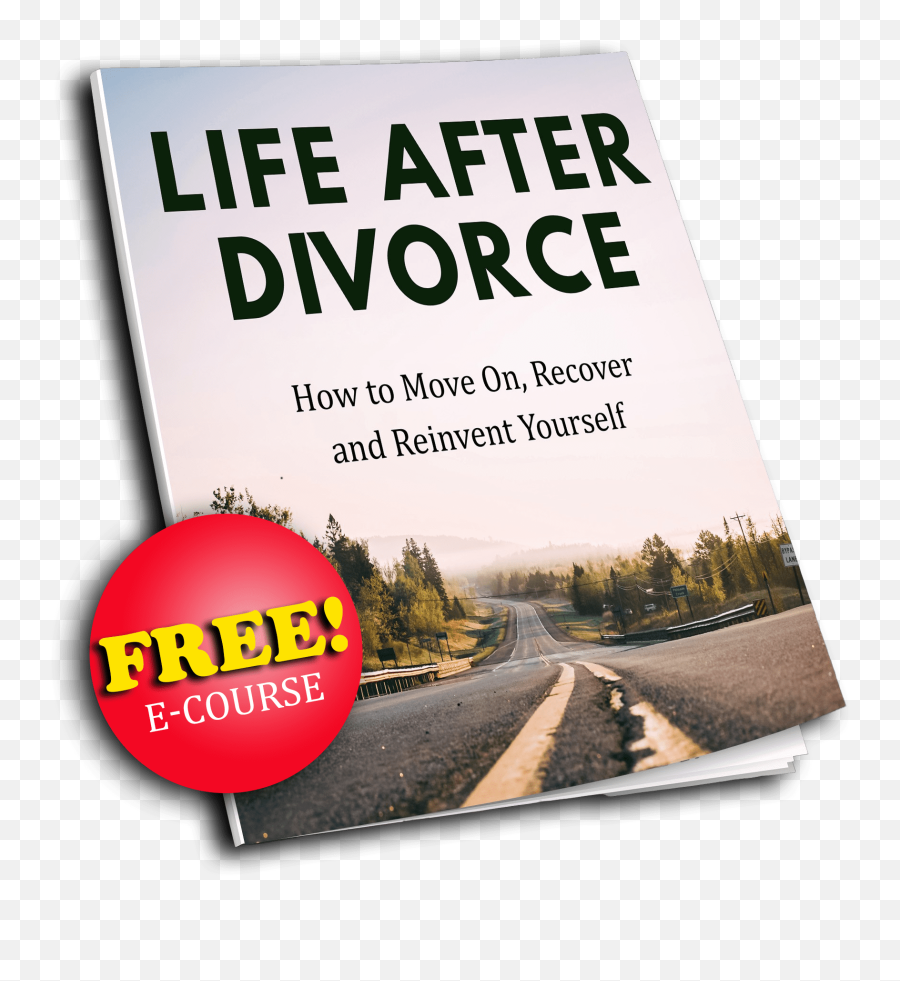 Blog - Momsmixedfamilyblender Horizontal Emoji,Divorce Emotions Cycle