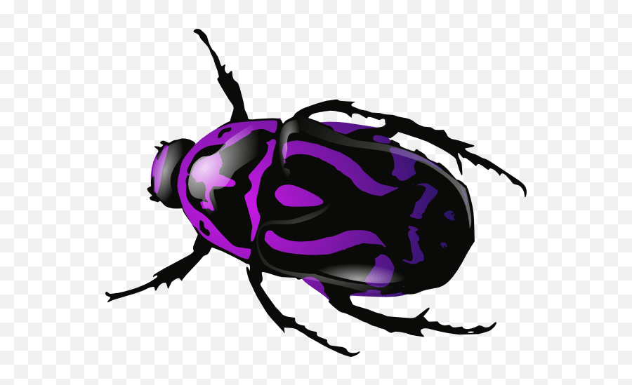 Dung Beetle Png Image Png Mart Emoji,Purple Bug Emoji